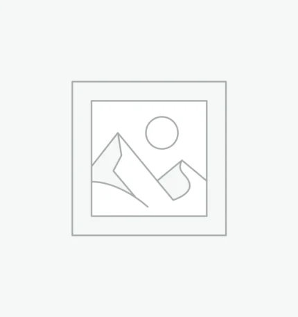 عنصر نائب Placeholder